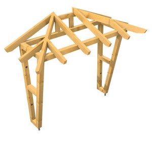3D Ansicht Holzvordach Odenwald Typ2 22° Seitenwand schräg