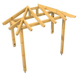 3D Ansicht Holzvordach Odenwald Typ2 22° Stützen vorn