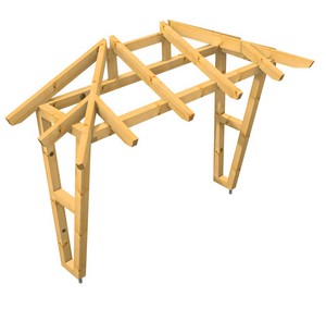 3D Ansicht Holzvordach Odenwald Typ3 22° Seitenwand schräg